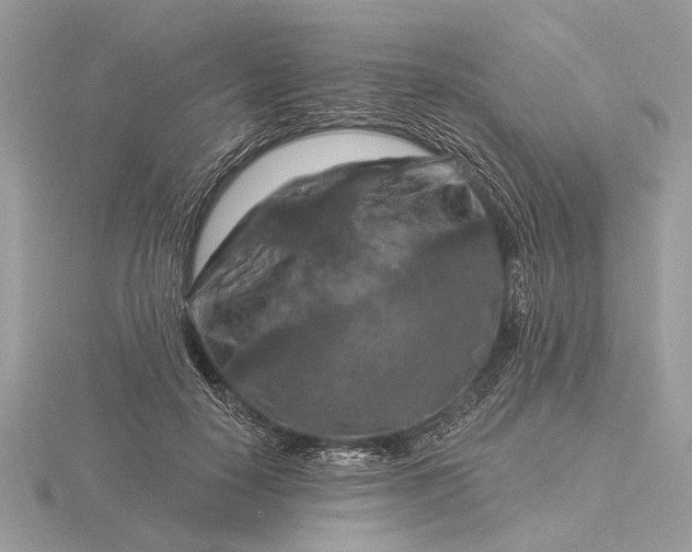 X0000116280650200912141349