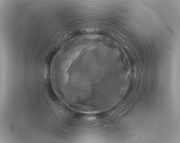 X0000116280651200912141349