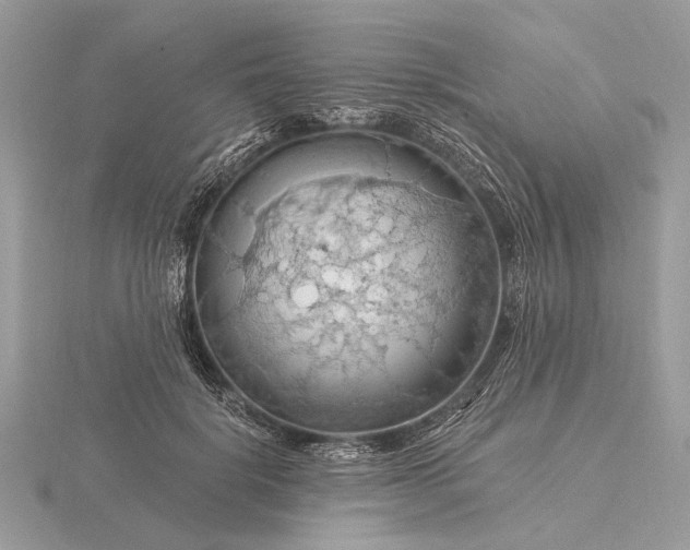 X0000116280652200912141349