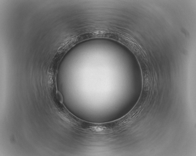 X0000116280654200912141349