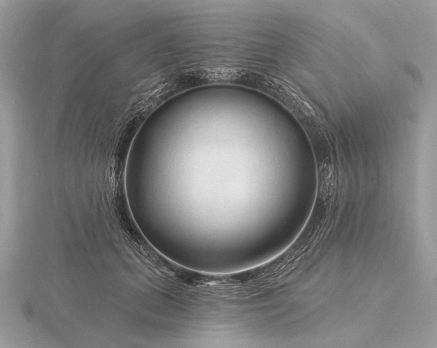 X0000116280655200912141349