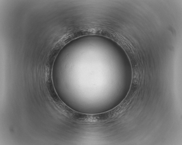 X0000116280656200912141349