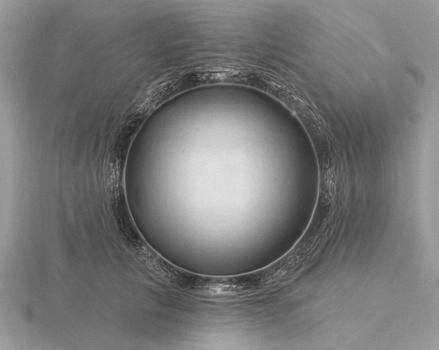 X0000116280657200912141349