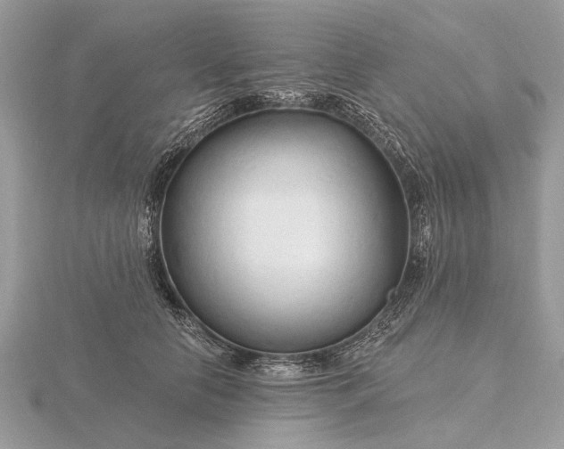 X0000116280658200912141349