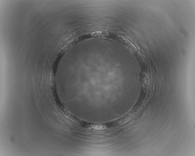 X0000116280659200912141349