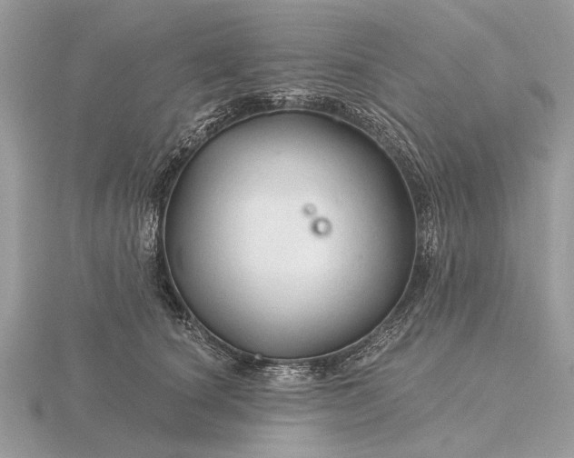 X0000116280660200912141349