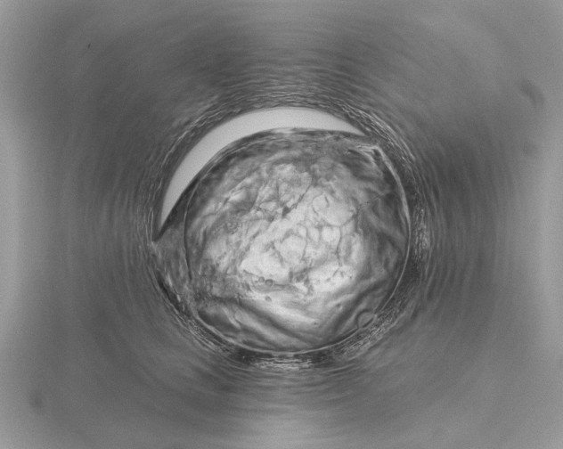 X0000116280661200912141350