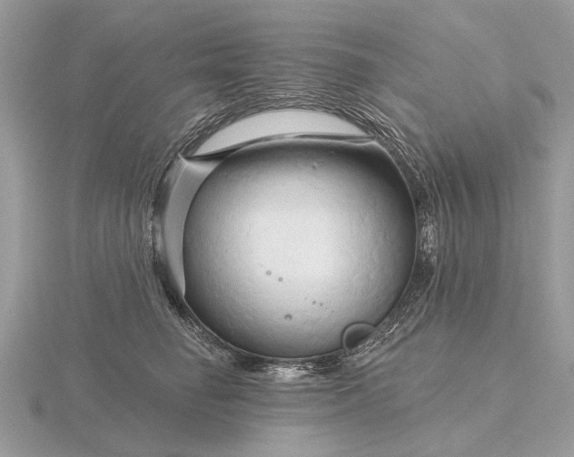 X0000116280662200912141350