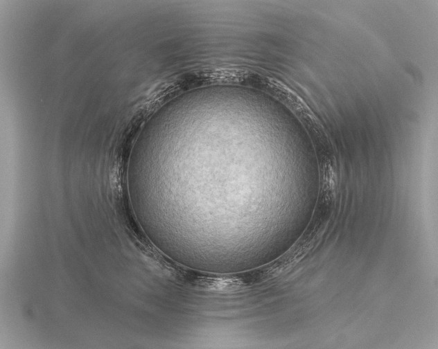 X0000116280663200912141350