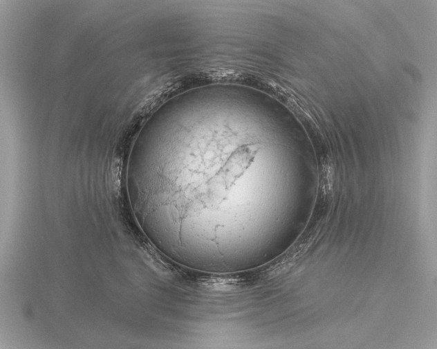 X0000116280664200912141350