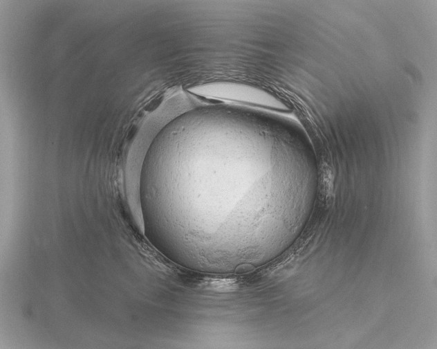 X0000116280665200912141350