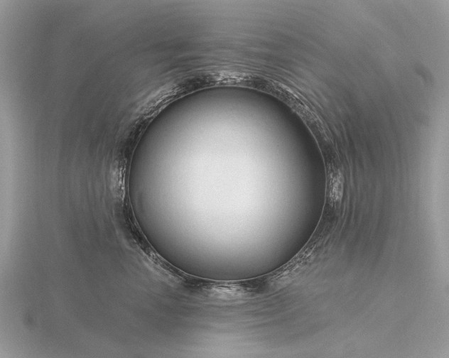 X0000116280666200912141350