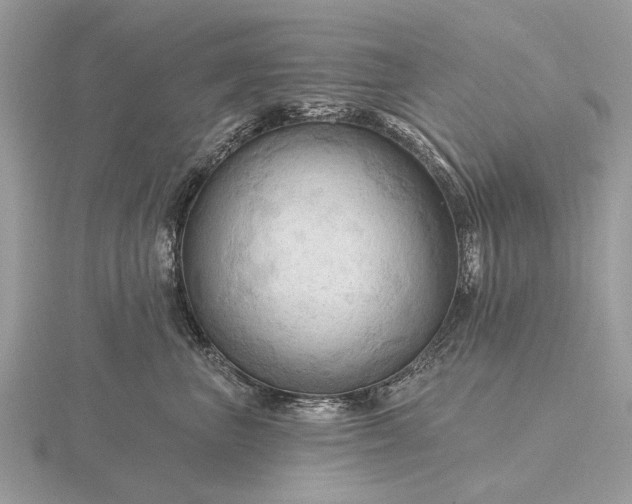 X0000116280667200912141350