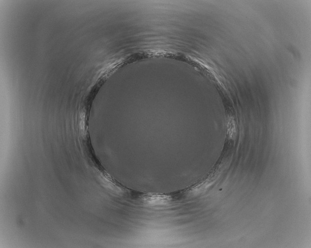 X0000116280670200912141350