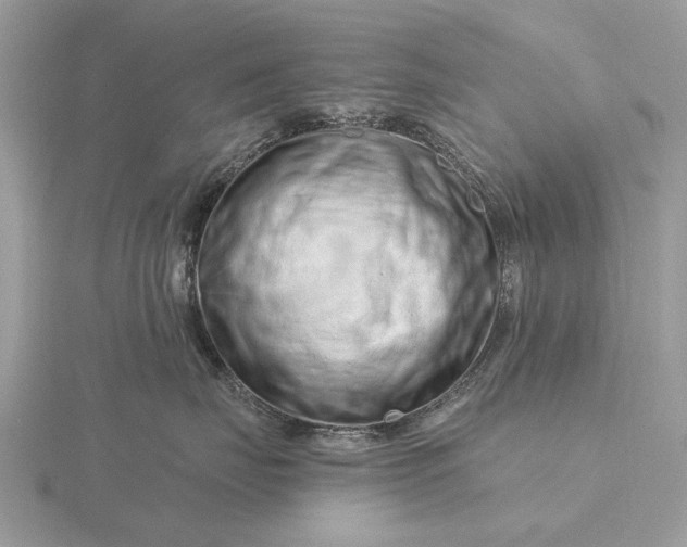 X0000116280671200912141350