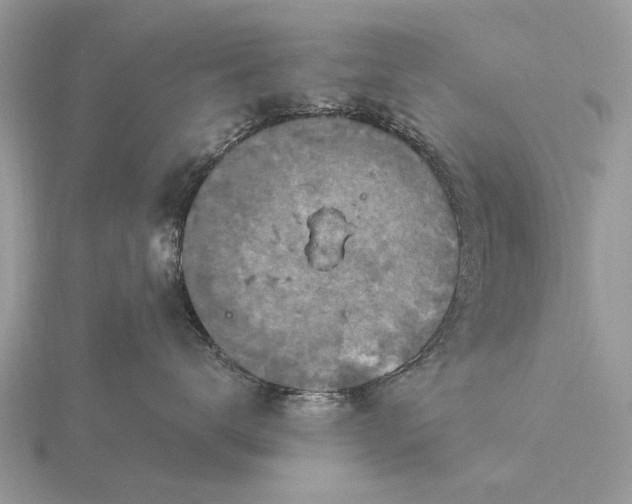 X0000116280672200912141350