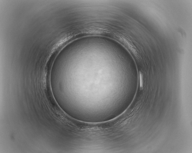 X0000116280675200912141349