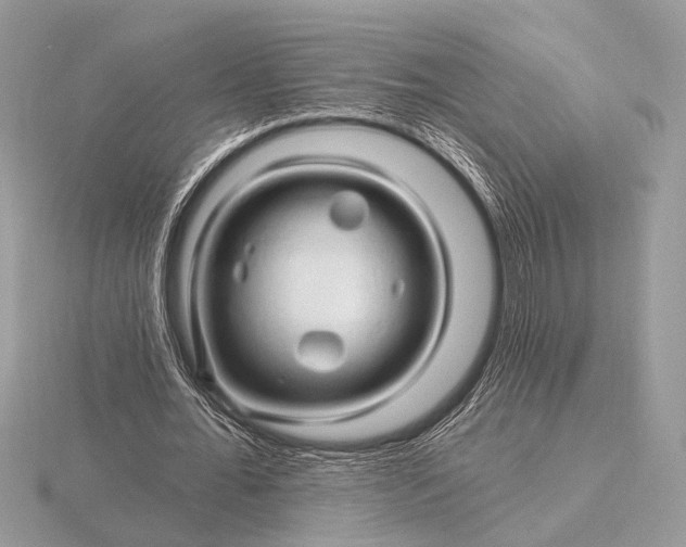 X0000116280676200912141349