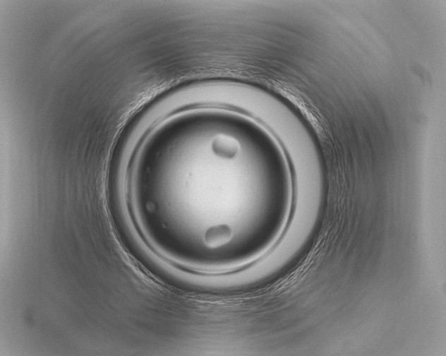 X0000116280677200912141349