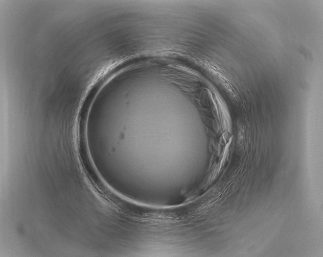 X0000116280678200912141349