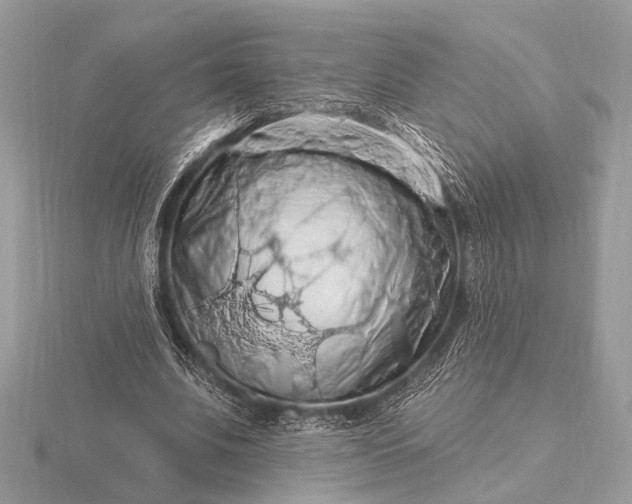 X0000116280679200912141349