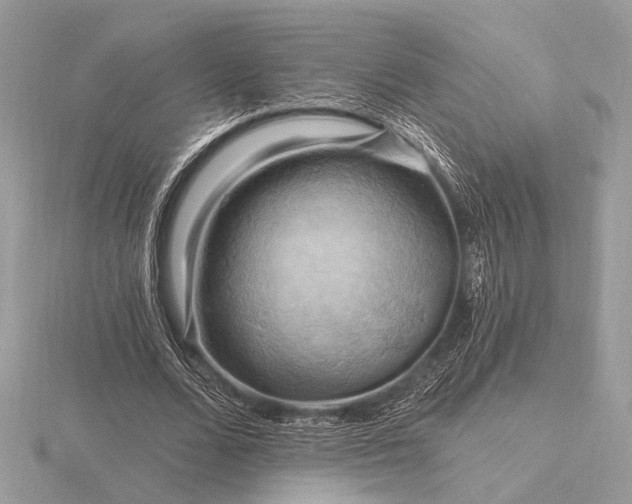 X0000116280680200912141349