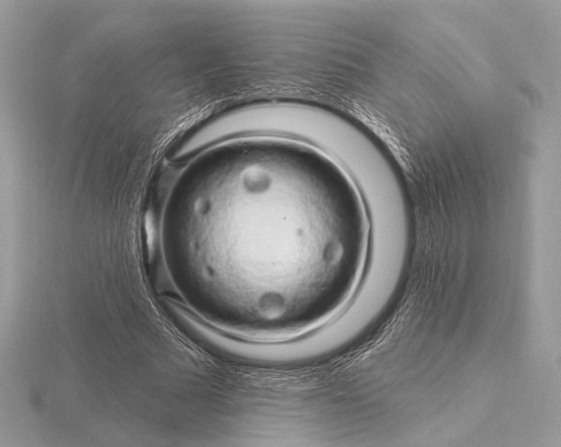 X0000116280681200912141349