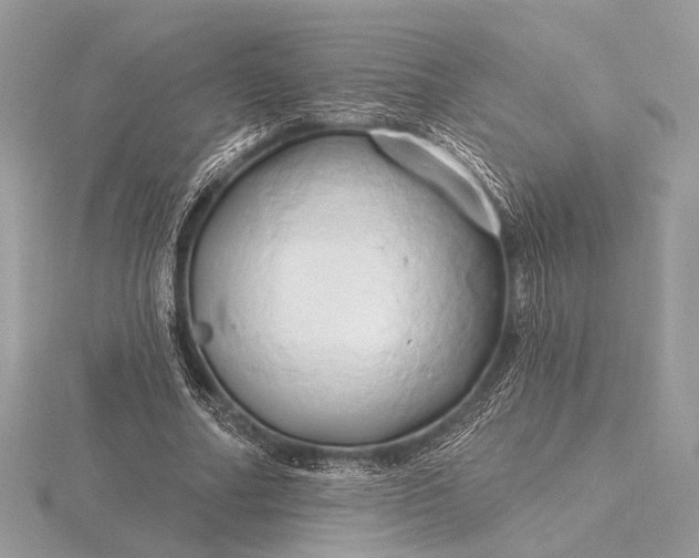 X0000116280682200912141349