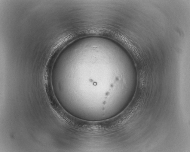 X0000116280683200912141349