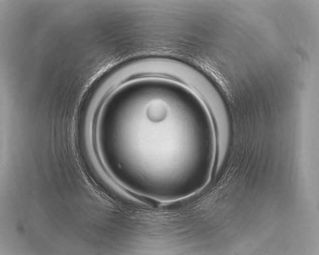 X0000116280684200912141349