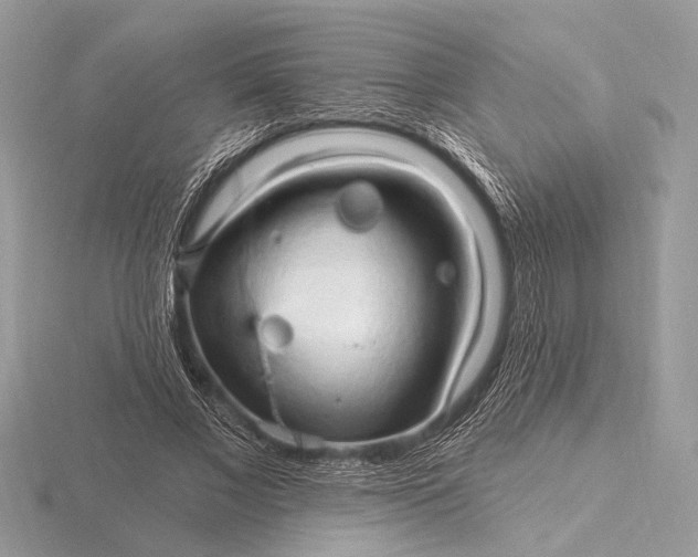 X0000116280685200912141349