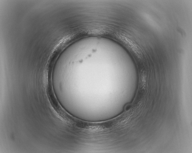 X0000116280686200912141349