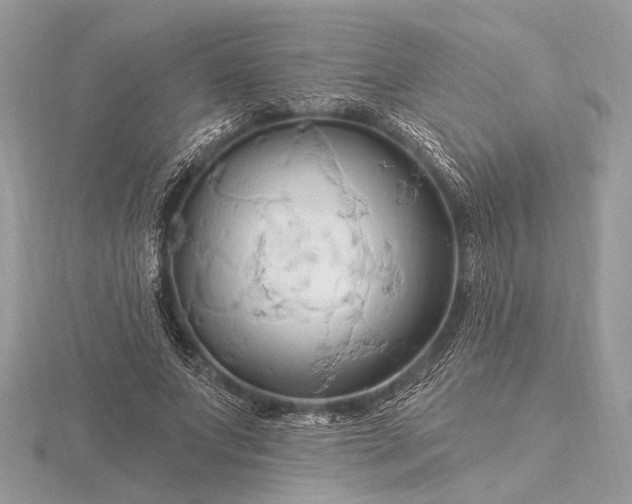 X0000116280687200912141349