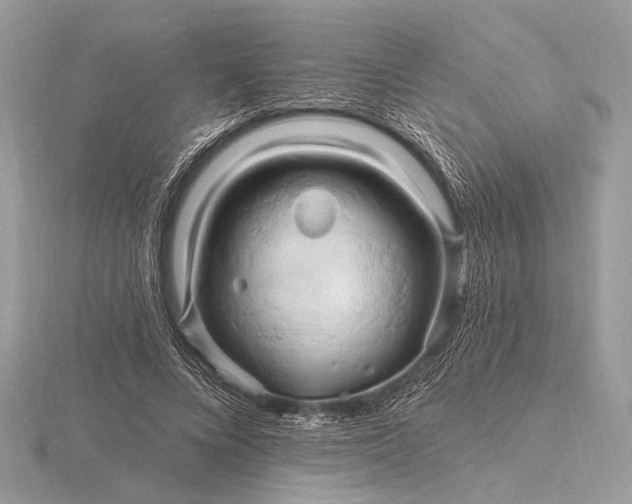 X0000116280688200912141349