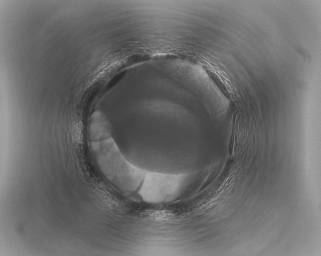 X0000116280689200912141349