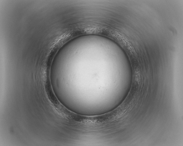 X0000116280690200912141349