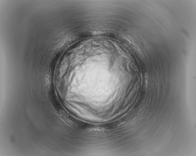 X0000116280691200912141349