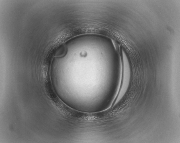 X0000116280695200912141349