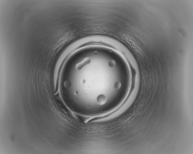 X0000116280696200912141349