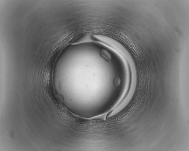 X0000116280697200912141349