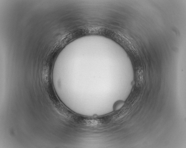 X0000116280698200912141349