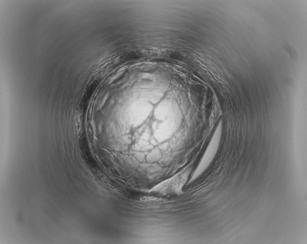 X0000116280699200912141349