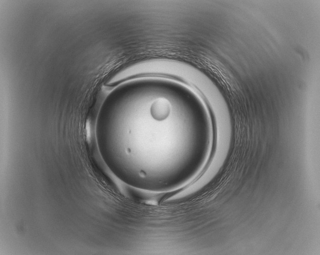 X0000116280700200912141349