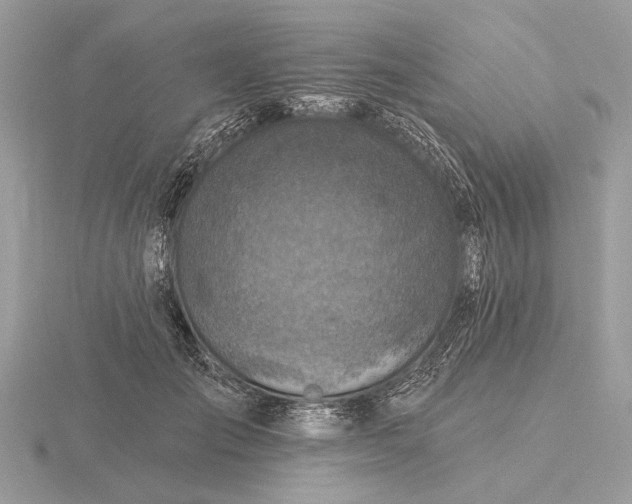 X0000116280701200912141349