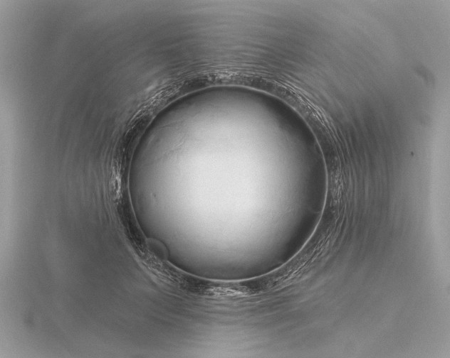 X0000116280703200912141349