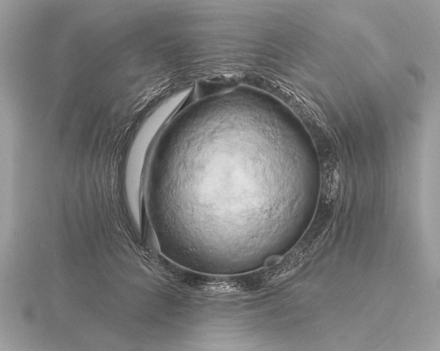 X0000116280704200912141349