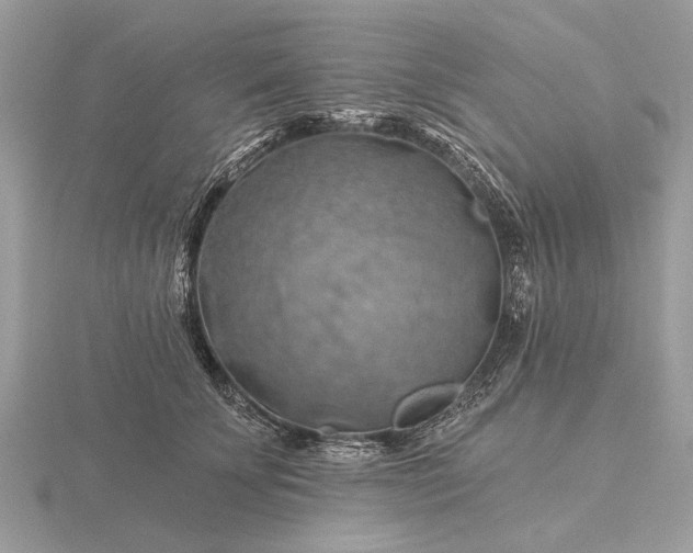 X0000116280707200912141349