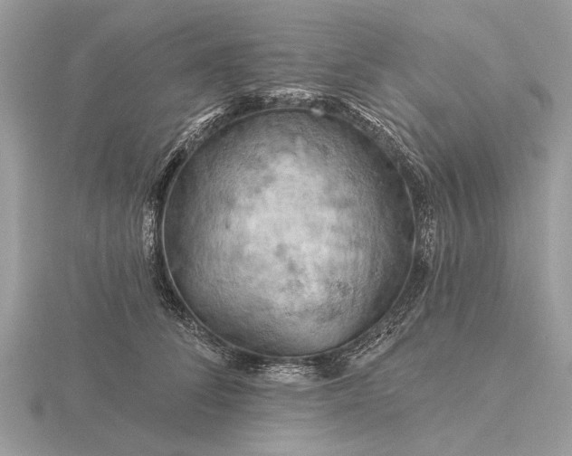 X0000116280708200912141349