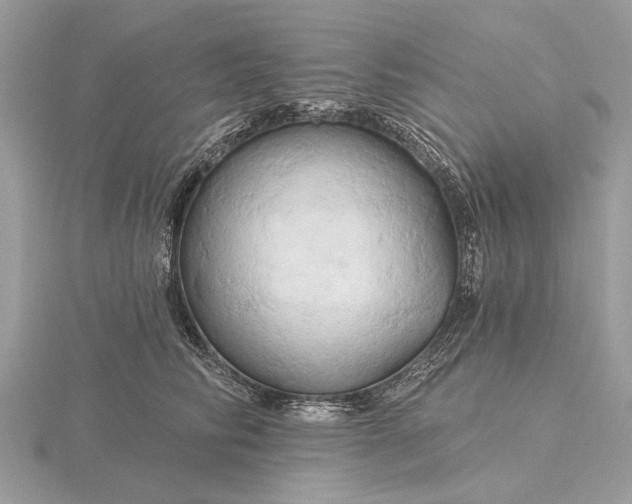 X0000116280710200912141349