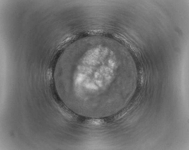 X0000116280711200912141349